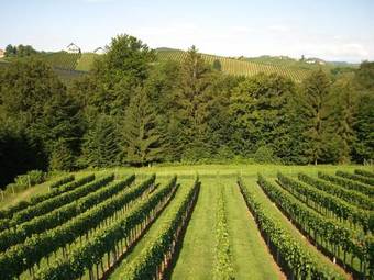 Bed & Breakfast Birkenstub�n - Wirtshaus Am Eckberg