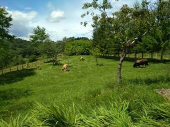 Agroturismo La Casona De Sovi�a