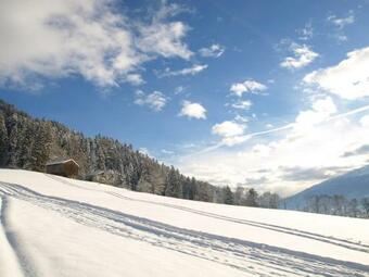 Apartamento Holiday Home Zillertal - Haus Gigl