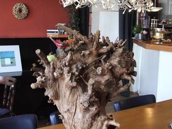Hotel Bruist