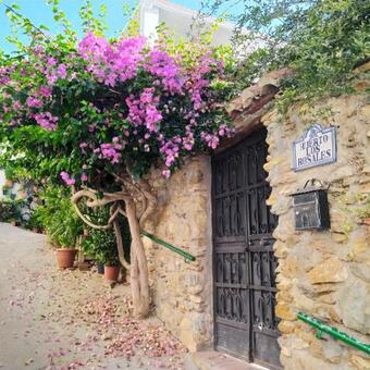 Casa T�a Lola