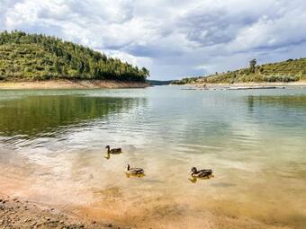 Ver fotos