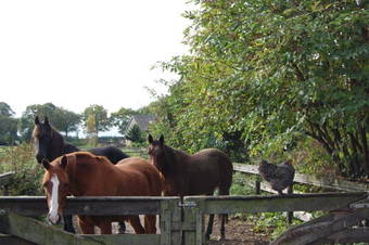 B&B Onze Deel