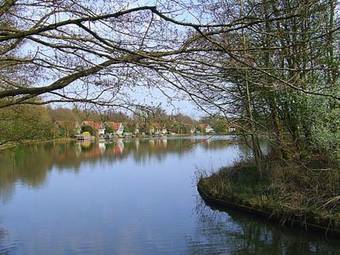 Holiday Home Landgoed Het Timmerholt6