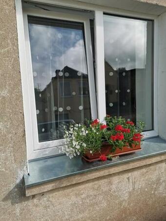 Apartamento Dz?voklis Vecpils?t?
