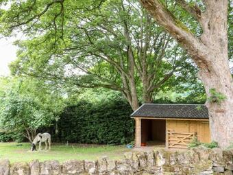 Orchard View