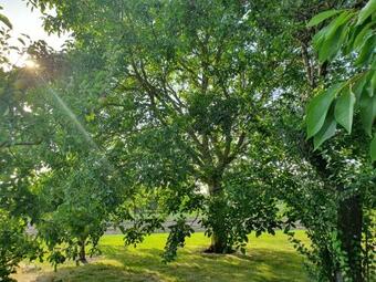Hostal "au Jardin Sur L'eau" Hortillonnages