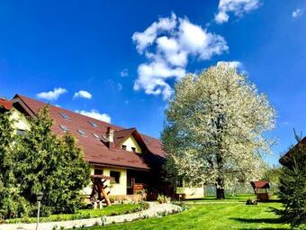 Bed & Breakfast Casa Galbena