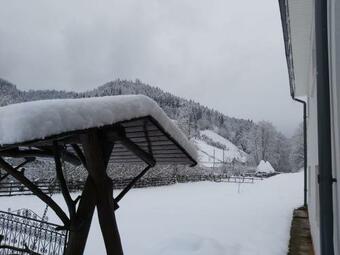 Adinel-cas? De Vacan?? �n Apuseni