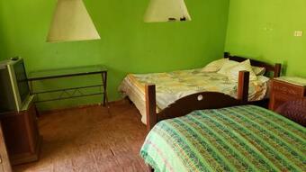 Las Bromelias