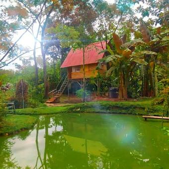 Glamping Del Bosque