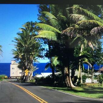 Mediteranean Style Ohana Rental / Garden Bungalow In Pahoa