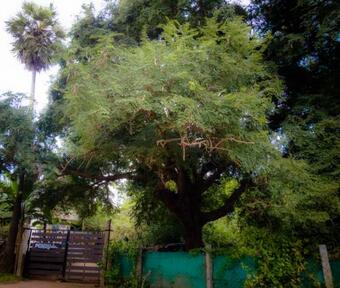 Ver fotos