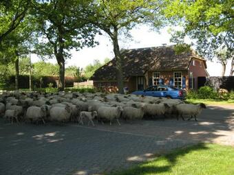 't Zwaluwennest