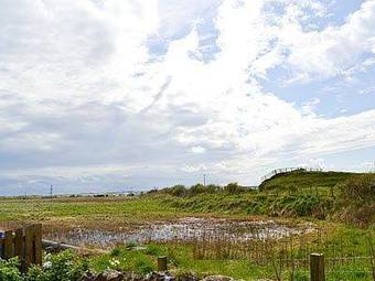 The Neuk