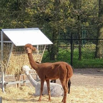 B&B Hemel Op Aarde