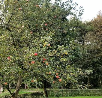 B&B De Panheide
