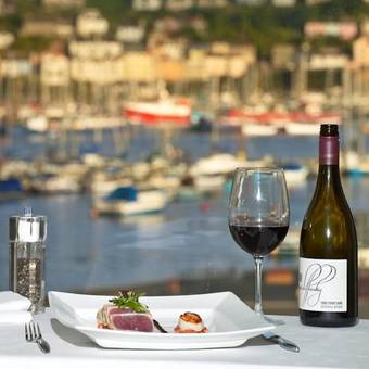 Dart Marina Hotel