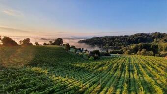 Apartamento Weingut & Ferienwohnungen Lenhard