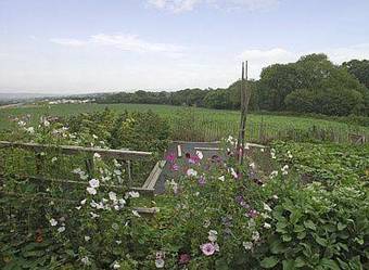Culver View