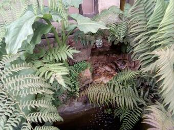 Paraiso 2