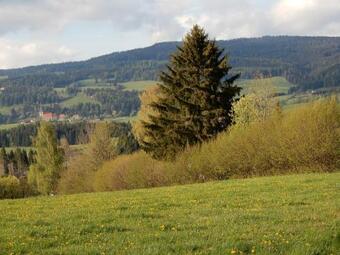 Ferienhaus Grohs