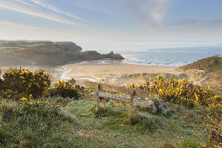 The Gower Hotel