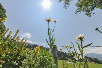 Apartamento Ferienwohnung Schwalbenwandblick