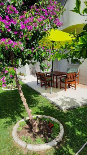 Apartamento Mihaela