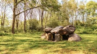 Zeegser Duinen