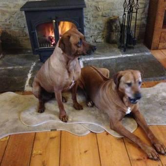 Beudy Bach Bed & Breakfast
