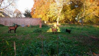 Hostal Le Jardin Des �cureuils