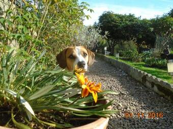 Bed & Breakfast La Mare Aux F�es