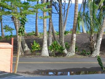 Hostal The Dolphin Cottage At Kehena Beach
