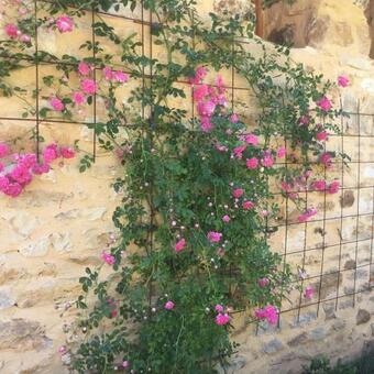 Ver fotos