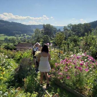 Bed & Breakfast La Maison Du Potager