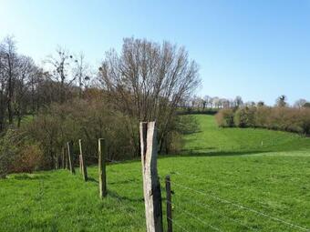 Le Marite