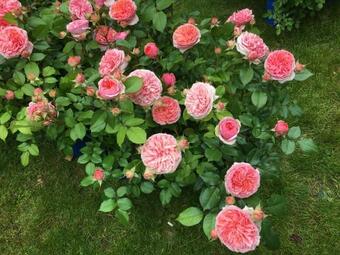 Bed & Breakfast Les Portes De Bourgogne