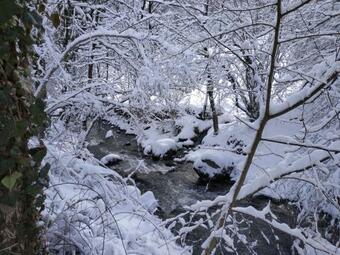 Hotel Centre De Vacances La Salamandre