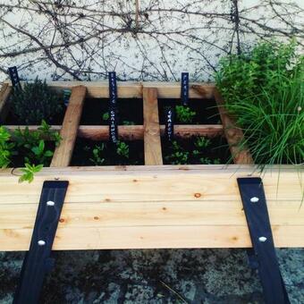Le Jardin Du Somail