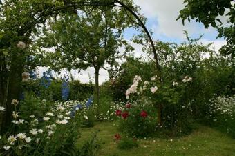 B&B Eenvoud In Overvloed