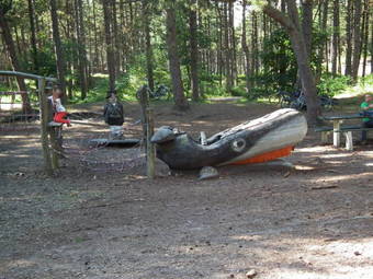 Apartamento Appartement Kaap 44