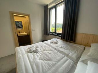 Hotel Forest Resort