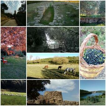 B&B Pibitzoi