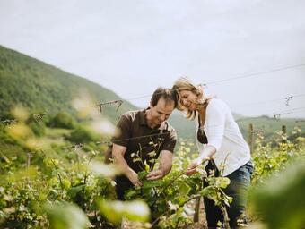Hostal Weingut Und G�stehaus Holger Alt