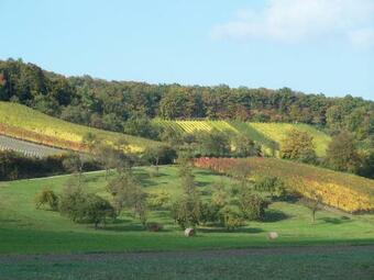 Apartamento Weinhof Grosch