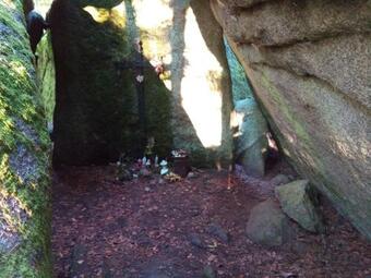 Ver fotos