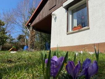 Ferienhaus Waldblick