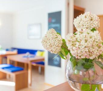 Hostal Steigerwaldpension