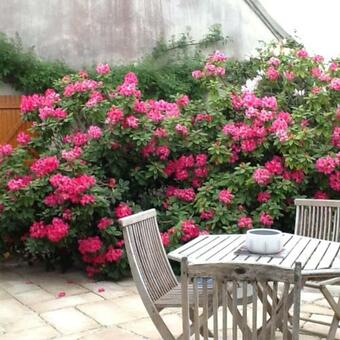 Bed & Breakfast Domaine De La Botterie